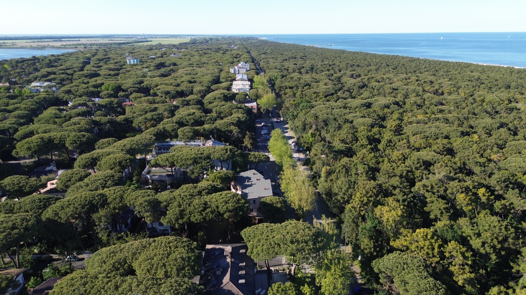 Aerial view of the pine forest and the sea in Marina Romea