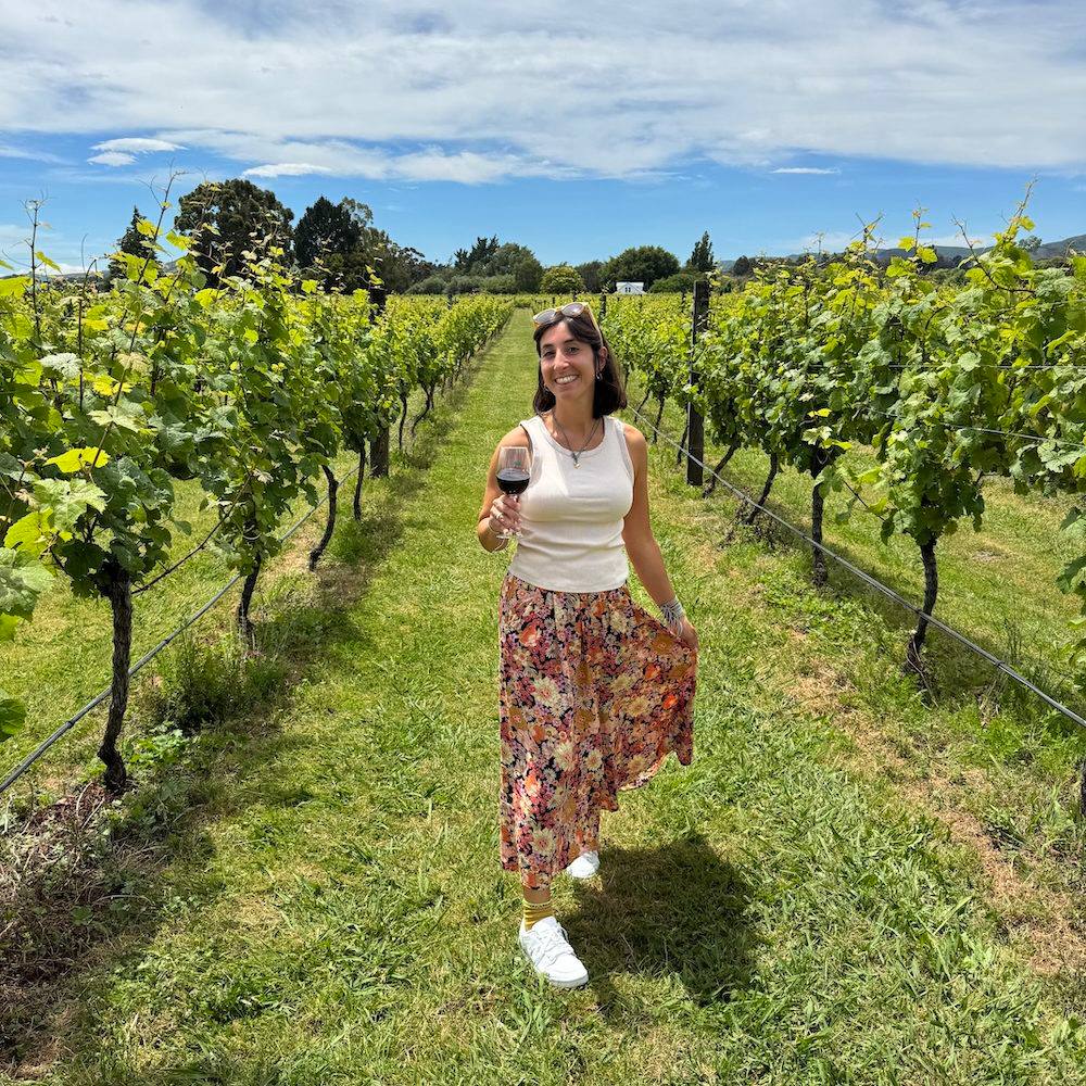 Private tasting among the vineyards with Hotel Millepini sommelier